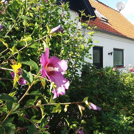 B & B Hygge Stoense Buitenkant foto