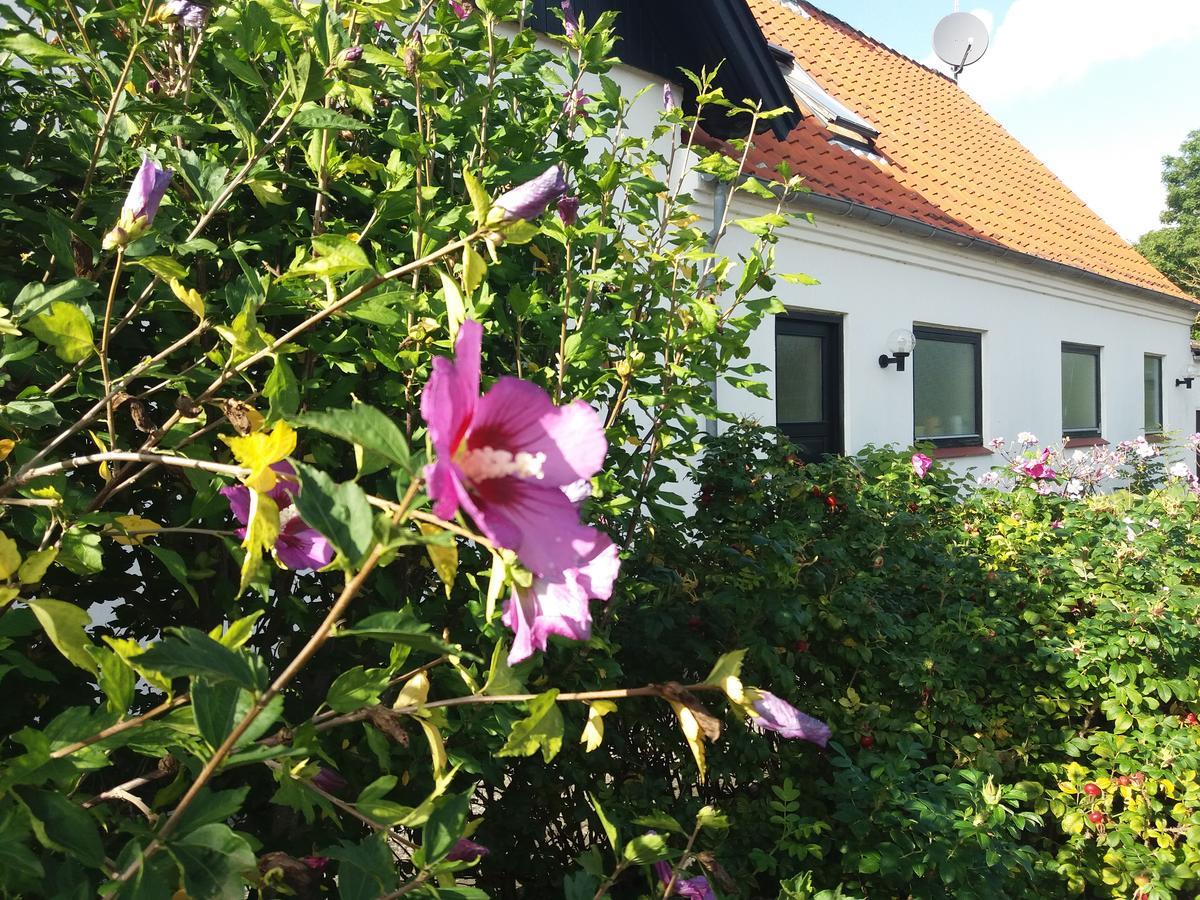 B & B Hygge Stoense Buitenkant foto